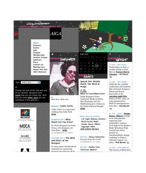 AIGA Los Angeles Website Web Skin